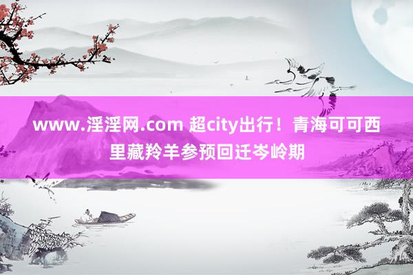 www.淫淫网.com 超city出行！青海可可西里藏羚羊参预回迁岑岭期