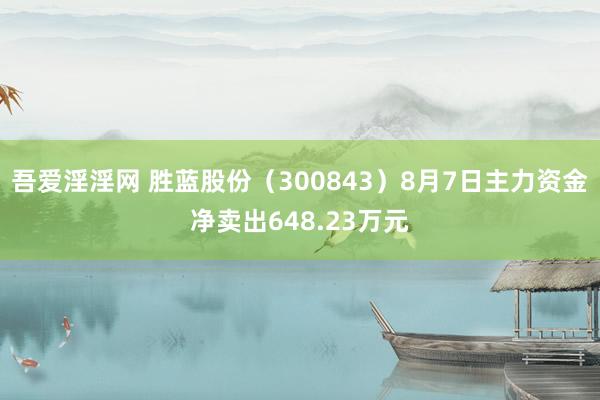 吾爱淫淫网 胜蓝股份（300843）8月7日主力资金净卖出648.23万元