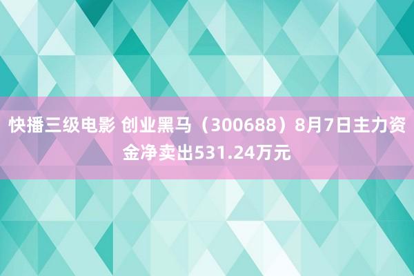 快播三级电影 创业黑马（300688）8月7日主力资金净卖出531.24万元