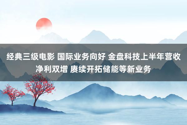 经典三级电影 国际业务向好 金盘科技上半年营收净利双增 赓续开拓储能等新业务