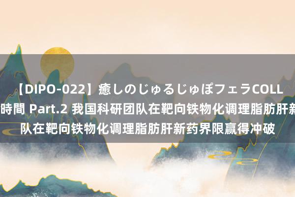 【DIPO-022】癒しのじゅるじゅぽフェラCOLLECTION50連発4時間 Part.2 我国科研团队在靶向铁物化调理脂肪肝新药界限赢得冲破