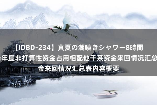 【IDBD-234】真夏の潮噴きシャワー8時間 达 意 隆: 半年度非打算性资金占用相配他干系资金来回情况汇总表内容概要