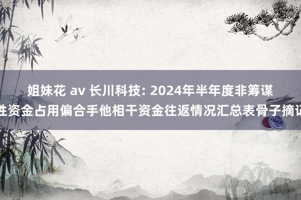 姐妹花 av 长川科技: 2024年半年度非筹谋性资金占用偏合手他相干资金往返情况汇总表骨子摘记