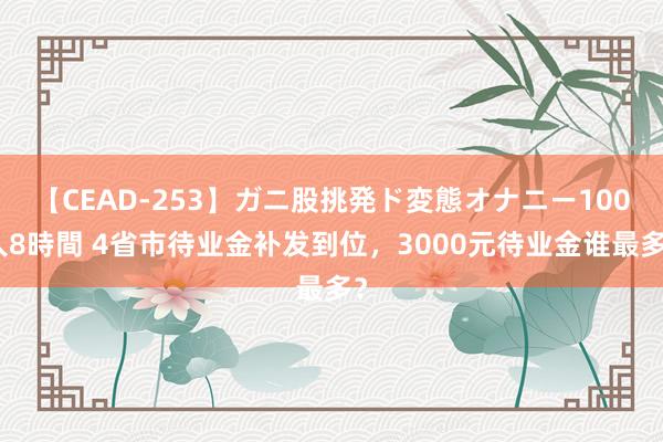 【CEAD-253】ガニ股挑発ド変態オナニー100人8時間 4省市待业金补发到位，3000元待业金谁最多？