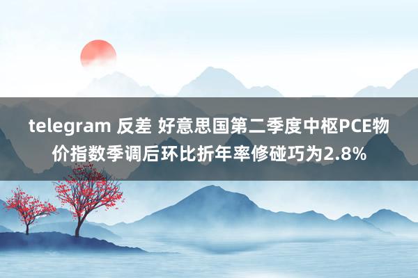 telegram 反差 好意思国第二季度中枢PCE物价指数季调后环比折年率修碰巧为2.8%