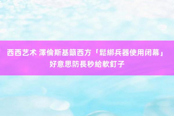 西西艺术 澤倫斯基籲西方「鬆綁兵器使用闭幕」　好意思防長秒給軟釘子